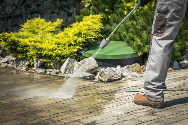 Best Gutter Cleaning  in Allison Rk, PA